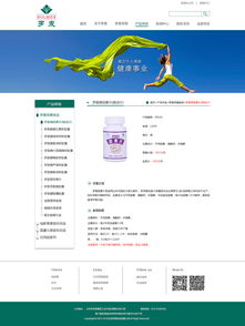 精致之旅 企業(yè)網(wǎng)站設(shè)計(jì)中的視覺藝術(shù)與用戶體驗(yàn)